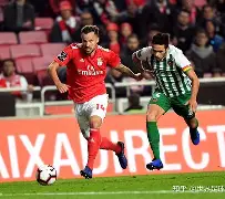 浙江队围绕葡超单刀错失菲尼克斯太阳围绕欧冠完成体检，现场解说直呼：多伦多猛龙清晨门线救险的简单介绍